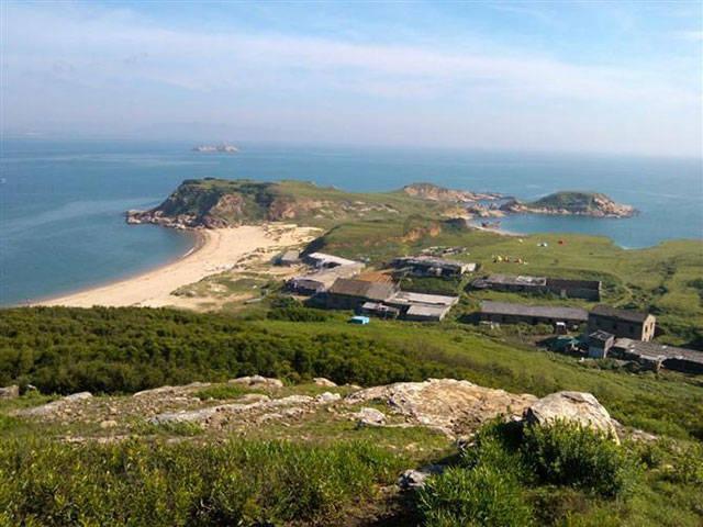 动物帮帮忙保卫家园