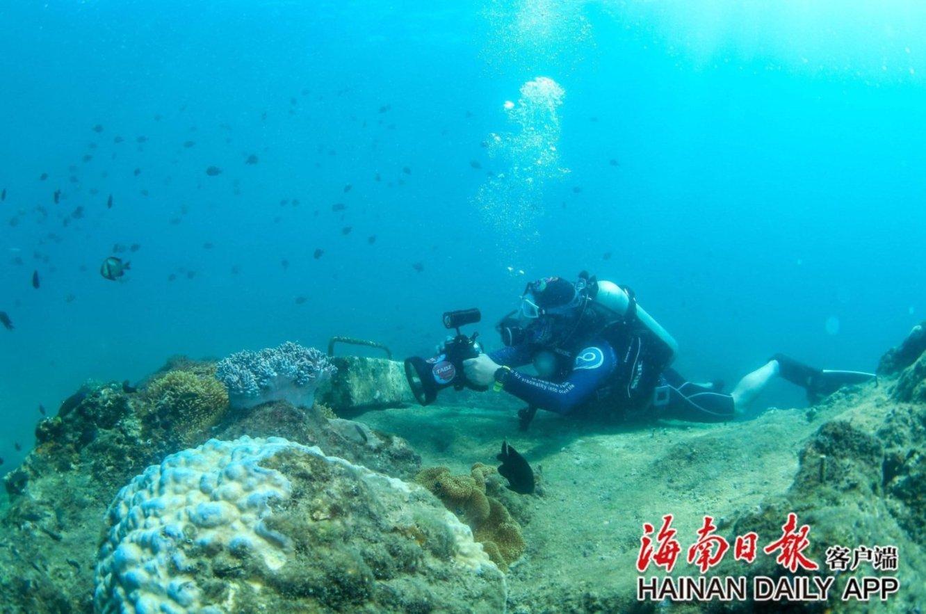 蓝狐视频