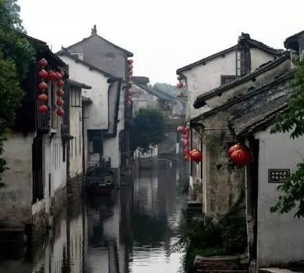 春雨直播app